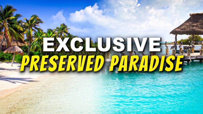 Cancun’s Hidden GEM Isla Contoy ( Must-Visit)