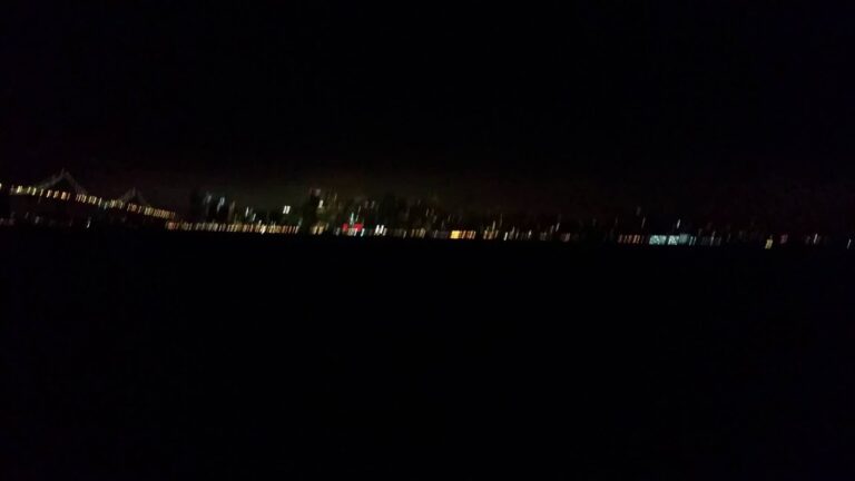 Just enjoying the view in San Francisco California