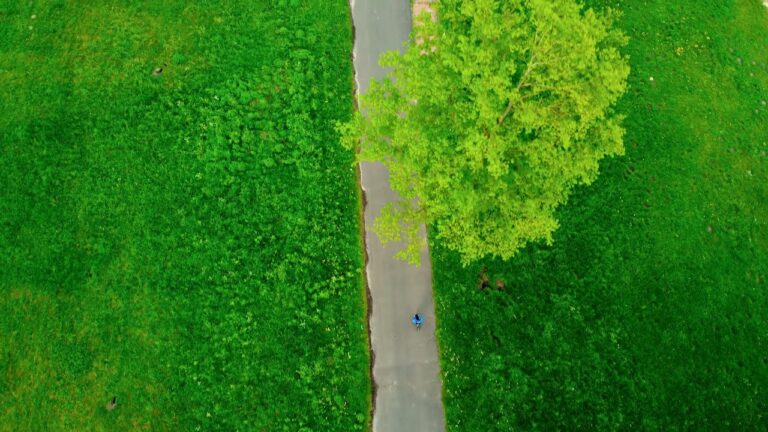 DJI Mini 2 | Bremen – Oberneuland | cinematische Aufnahme