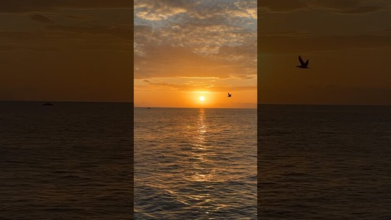 Unforgettable Moments: Embrace Saint Barths’ Mesmerizing Sunset #travel #caribbean #sunset