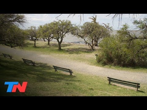 Cuarentena | Así está ahora la reserva ecológica de la Ciudad de Buenos Aires