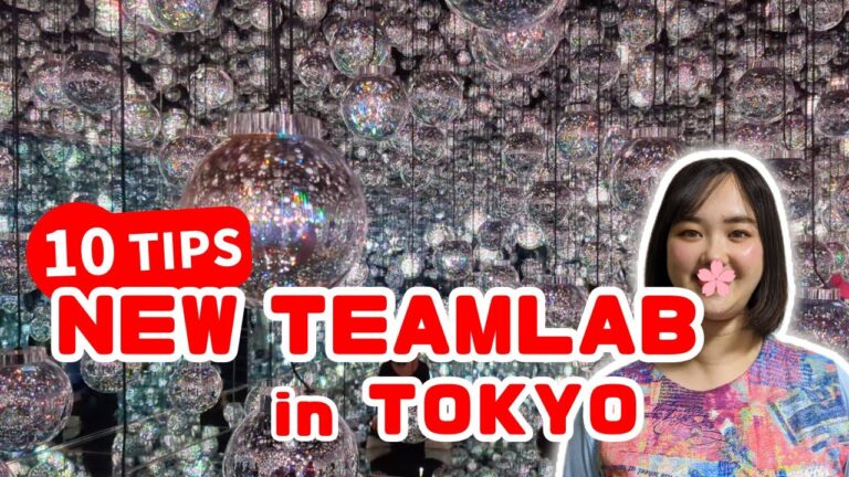 10 New Things to Know Before Traveling to teamLab Azabudai in Tokyo 2024