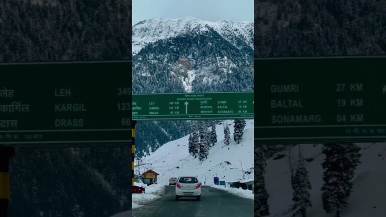 “Journey through Leh: The Ultimate Road Trip Experience”