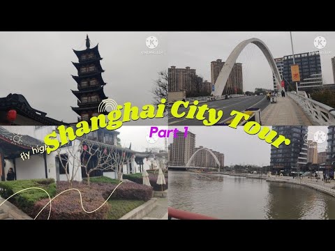 Shanghai Old Street Tour || Shanghai City Tour Tips Part 1 || #shanghai #travel #vlogs