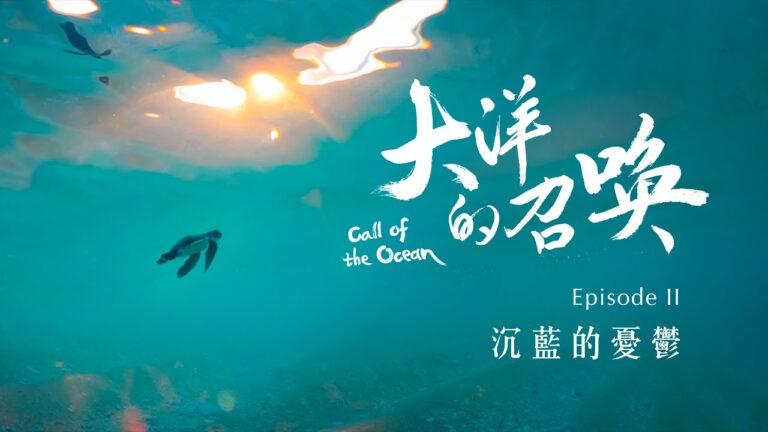 《大洋的召喚》二部曲 沉藍的憂鬱_4K SDR《聚焦全世界》第53期｜Call of the Ocean : Episode II Blue of the Deep Blue｜舒夢蘭