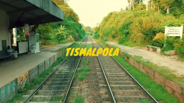 Sri Lanka’s Beautiful Village & Calm Nature | Train  Videography