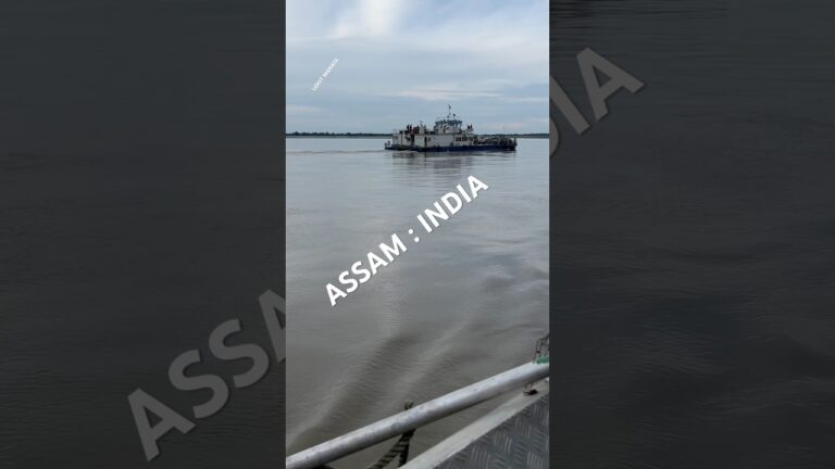 ASSAM |  TRAVEL  | Video #assam #assamtravel #shorts #short #shortsvideo #youtubeshorts #viralvideo