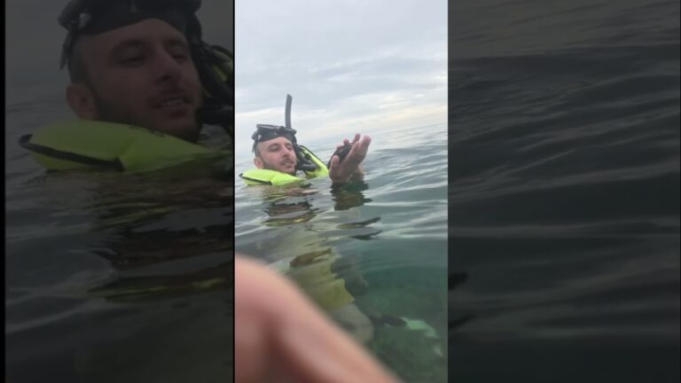 Amazing Snorkeling in Belize, Reef Adventure
