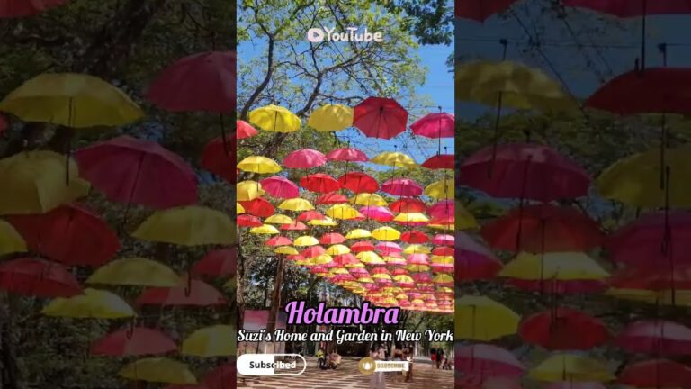 Holambra Brazil