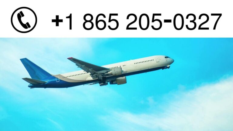 Expedia Customer Service | Contact Helpline for Urgent Travel Issues