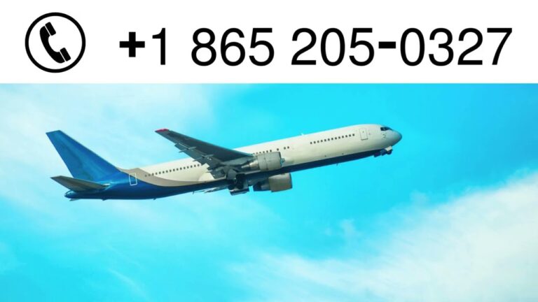 Expedia Customer Service | Best Ways to Contact Support Team