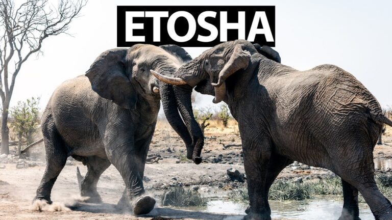 Don’t Go To Etosha National Park in Namibia, Go Here Instead